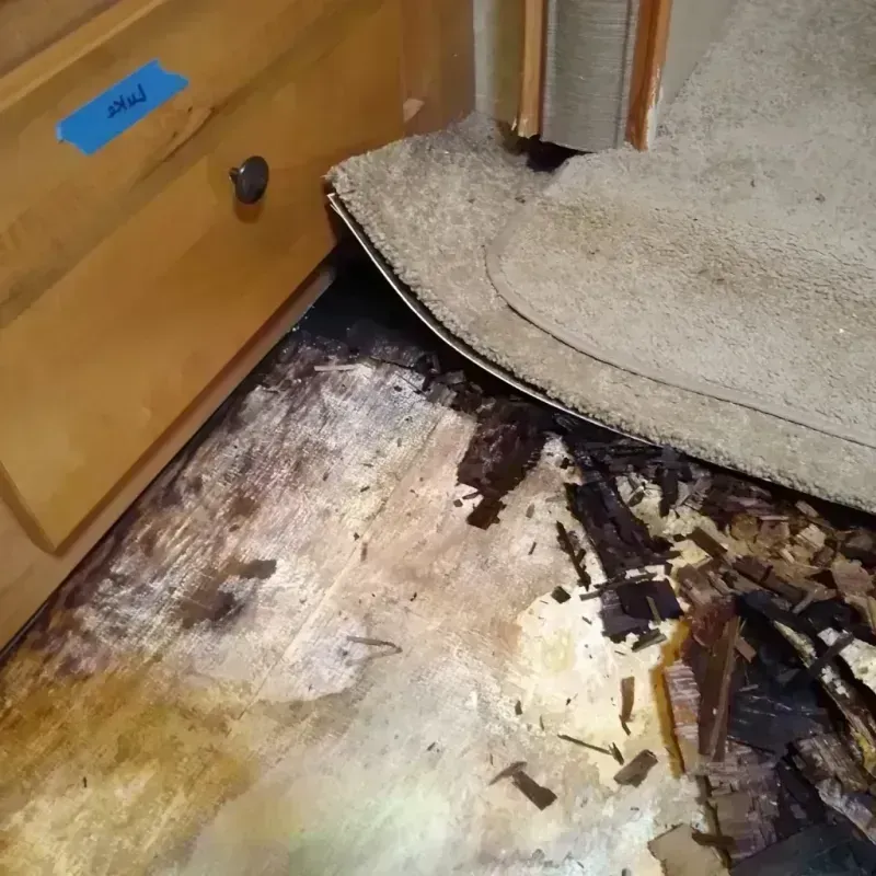 Wood Floor Water Damage in Avon, CO